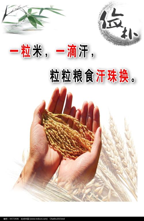 电子商务师证样本/模板